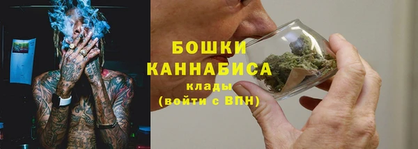 spice Арсеньев