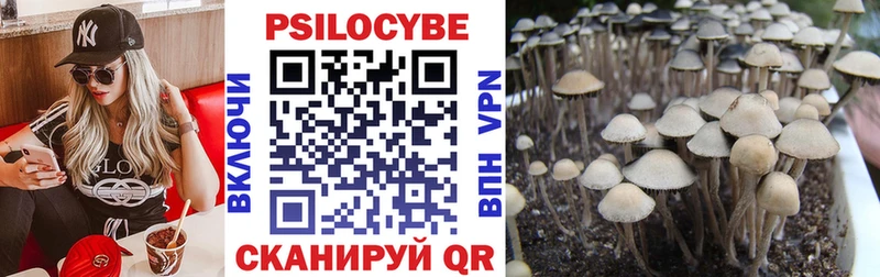Псилоцибиновые грибы MAGIC MUSHROOMS  ОМГ ОМГ маркетплейс  Красноярск 