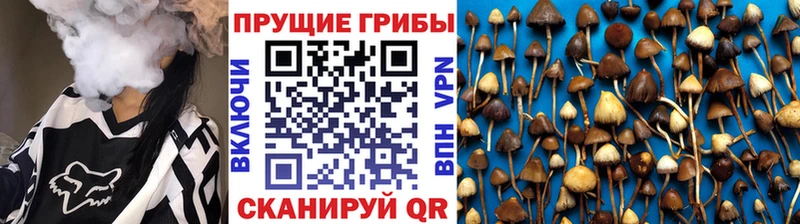 Псилоцибиновые грибы прущие грибы Красноярск